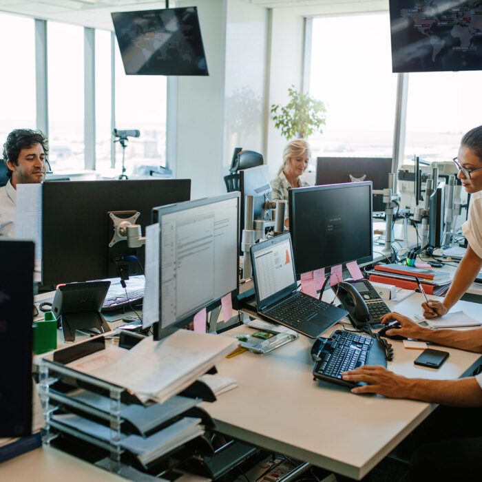 Business people working